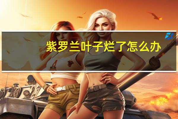紫罗兰叶子烂了怎么办