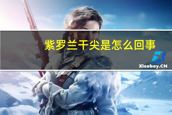 紫罗兰干尖是怎么回事