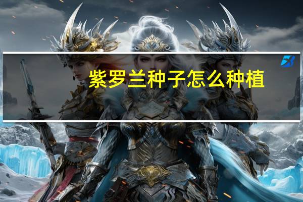 紫罗兰种子怎么种植
