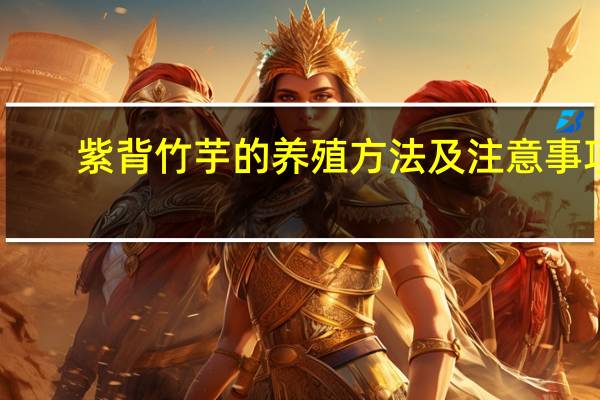 紫背竹芋的养殖方法及注意事项:喜湿润的生长环境
