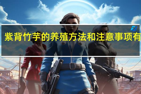 紫背竹芋的养殖方法和注意事项有哪些