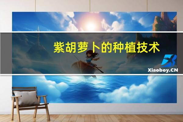 紫胡萝卜的种植技术：紫色萝卜对微量元素敏感