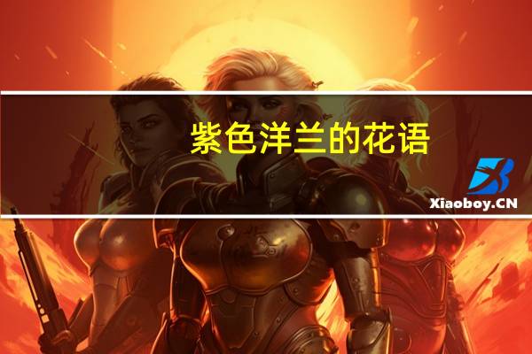 紫色洋兰的花语