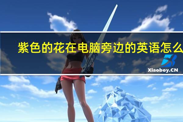 紫色的花在电脑旁边的英语怎么说?（紫色的花）