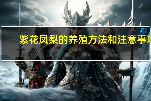 紫花凤梨的养殖方法和注意事项