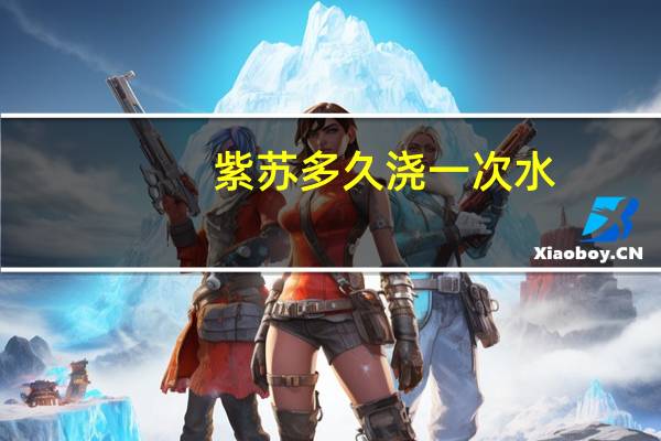 紫苏多久浇一次水