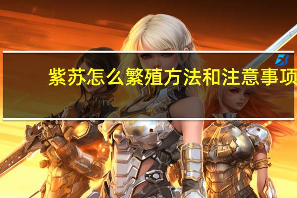 紫苏怎么繁殖方法和注意事项