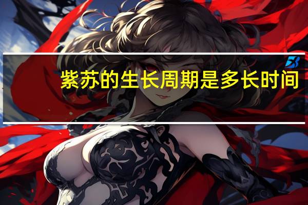 紫苏的生长周期是多长时间