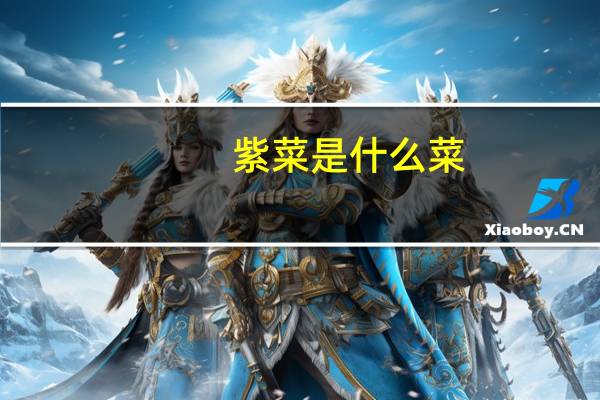 紫菜是什么菜