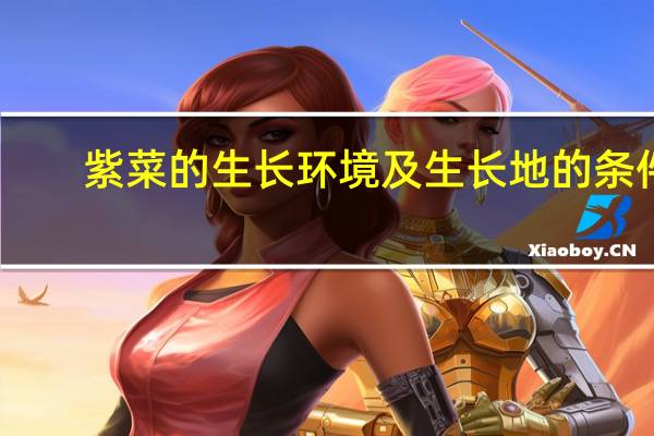 紫菜的生长环境及生长地的条件