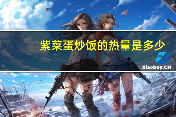 紫菜蛋炒饭的热量是多少