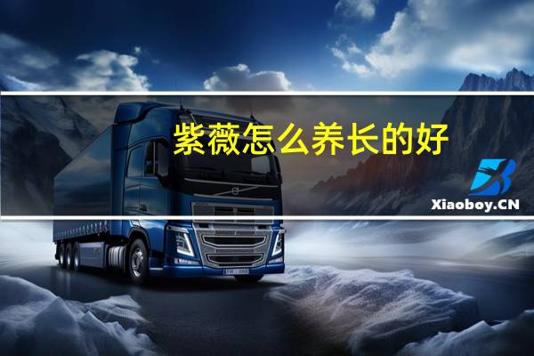 紫薇怎么养长的好