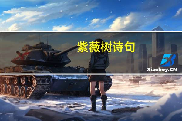 紫薇树诗句