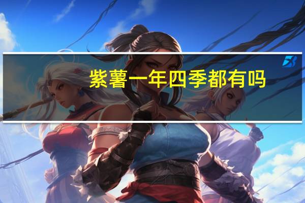紫薯一年四季都有吗