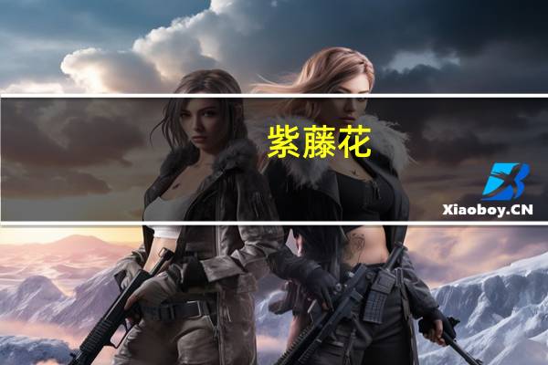 紫藤花（关于紫藤花的介绍）