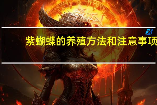 紫蝴蝶的养殖方法和注意事项