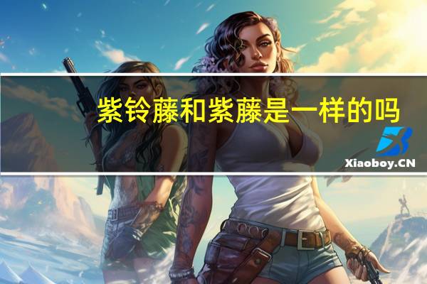 紫铃藤和紫藤是一样的吗