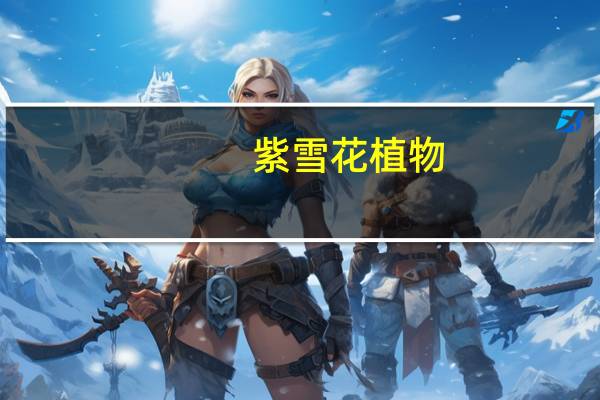 紫雪花植物（紫雪花）