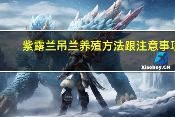 紫露兰吊兰养殖方法跟注意事项