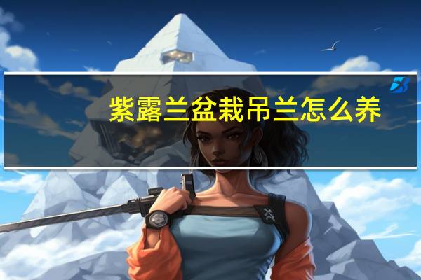 紫露兰盆栽吊兰怎么养