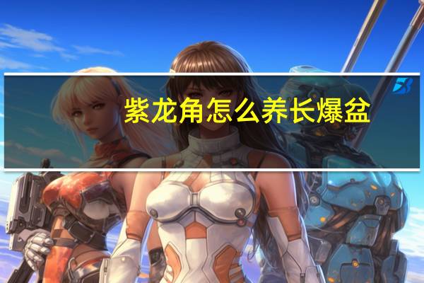 紫龙角怎么养长爆盆