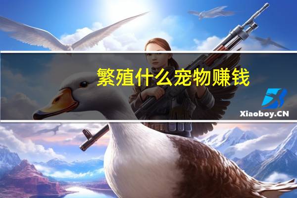 繁殖什么宠物赚钱