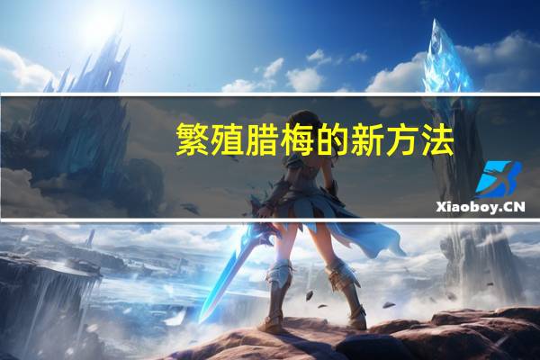 繁殖腊梅的新方法