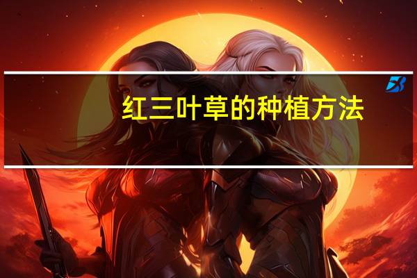 红三叶草的种植方法