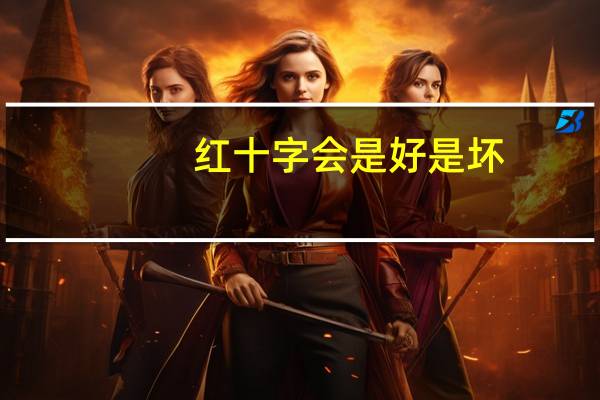 红十字会是好是坏（红十字会有多脏）