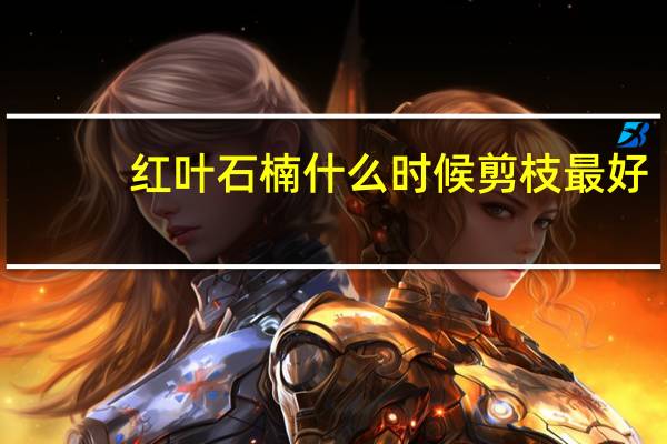 红叶石楠什么时候剪枝最好