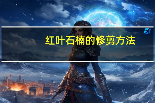 红叶石楠的修剪方法
