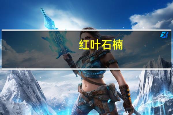 红叶石楠（红叶的羁绊）