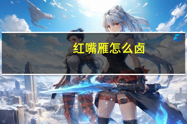 红嘴雁怎么卤