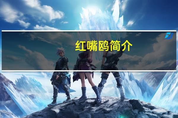 红嘴鸥简介(红嘴鸥)