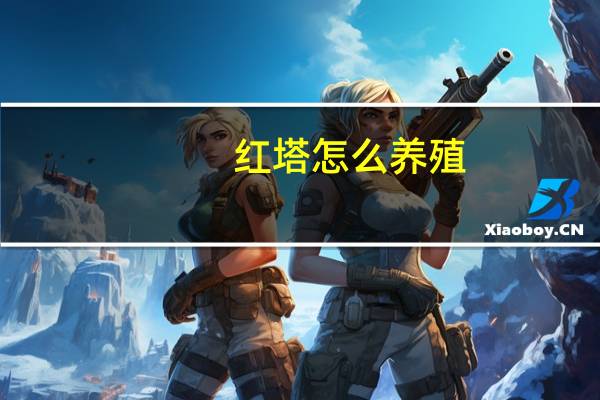 红塔怎么养殖