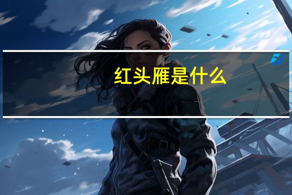 红头雁是什么