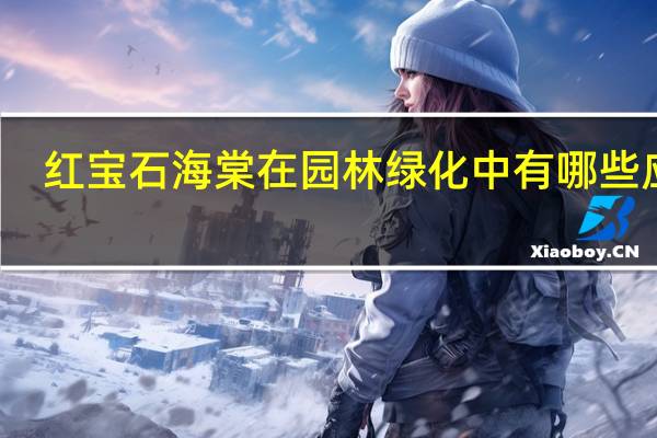红宝石海棠在园林绿化中有哪些应用
