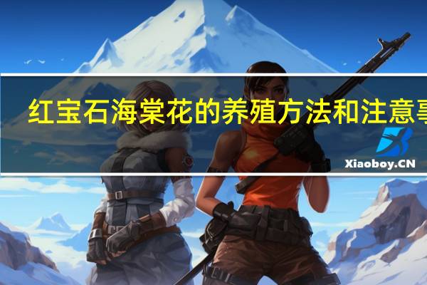 红宝石海棠花的养殖方法和注意事项