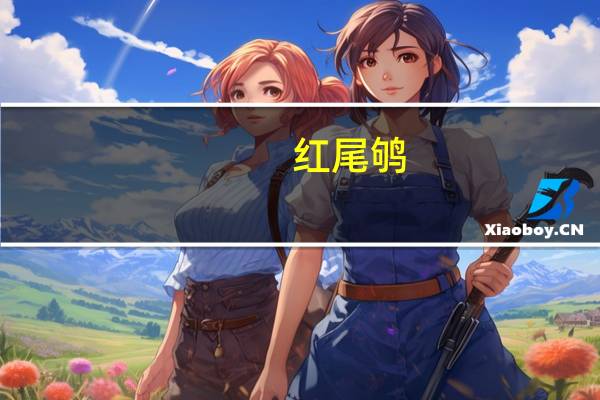 红尾 鸲（红尾护头鲿简介）