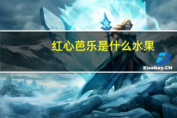红心芭乐是什么水果
