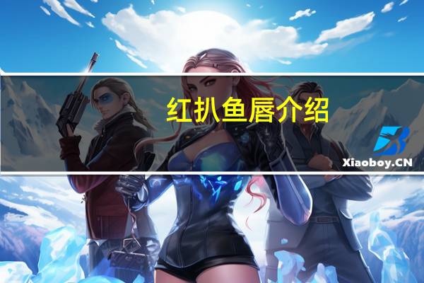 红扒鱼唇介绍