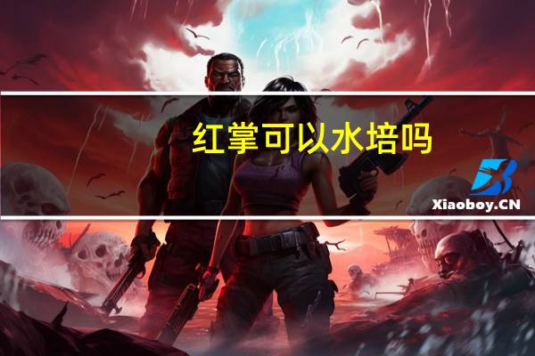 红掌可以水培吗