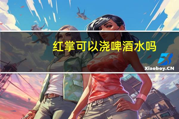 红掌可以浇啤酒水吗