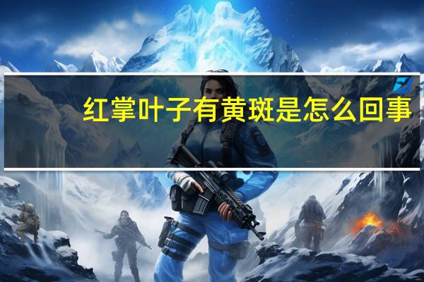 红掌叶子有黄斑是怎么回事