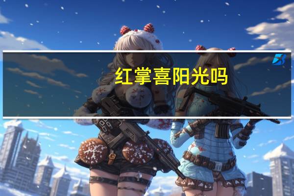 红掌喜阳光吗