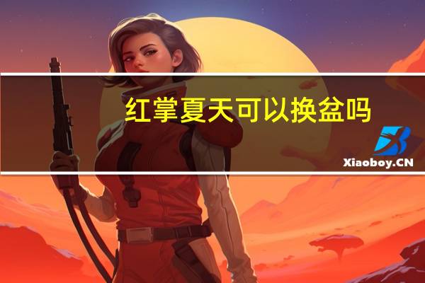 红掌夏天可以换盆吗