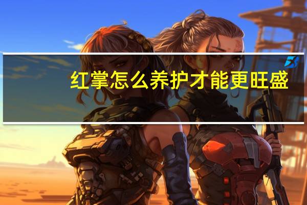 红掌怎么养护才能更旺盛