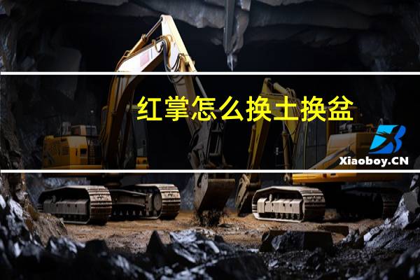 红掌怎么换土换盆