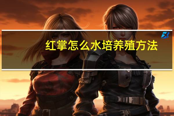 红掌怎么水培养殖方法
