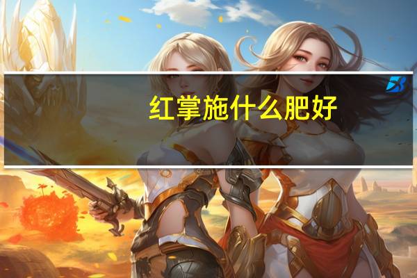 红掌施什么肥好